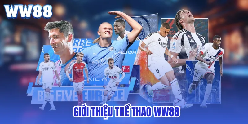 Giới thiệu thể thao ww88 